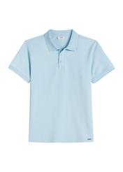 Błękitna koszulka polo męska POLMT-0089-7A(W26), widok produktu z przodu na białym tle.